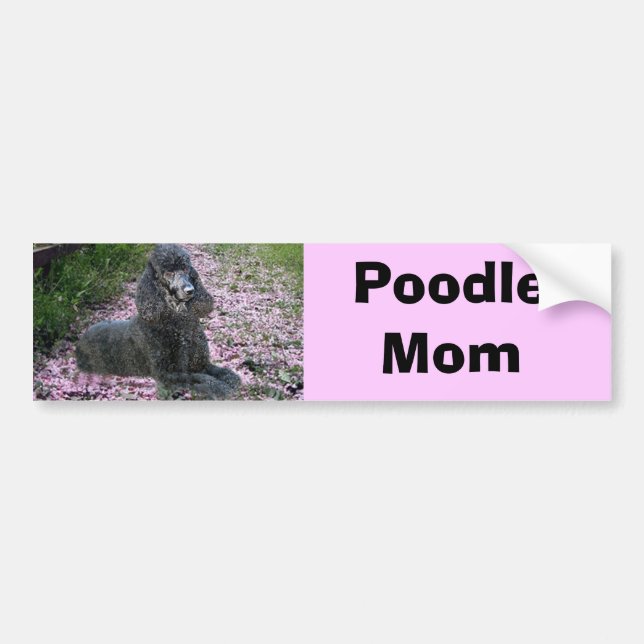 Autocollant De Voiture Adhésif pour pare-chocs de maman de caniche (Devant)