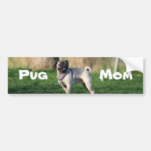 Autocollant De Voiture Adhésif pour pare-chocs de maman de carlin