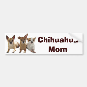 Autocollant De Voiture Adhésif pour pare-chocs de maman de chiwawa
