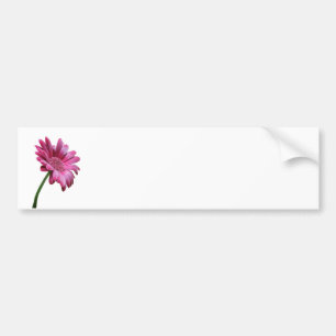 Autocollant De Voiture Adhésif pour pare-chocs de marguerite de Gerbera
