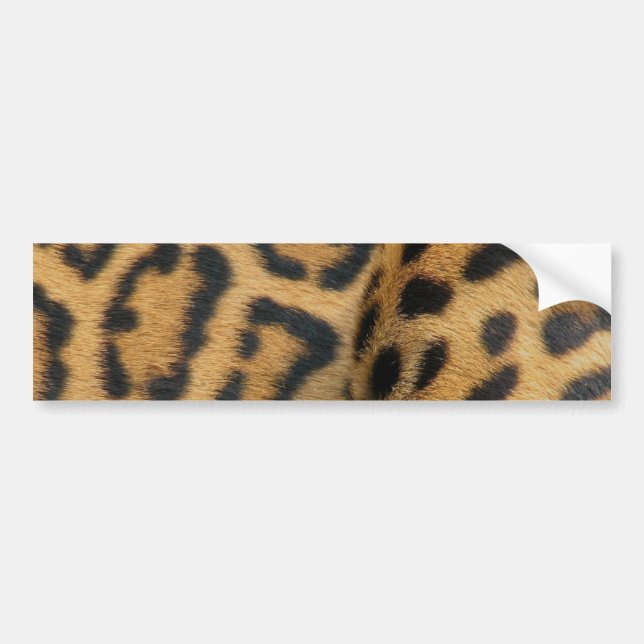 Autocollant De Voiture Adhésif pour pare-chocs de motif de Jaguar (Devant)