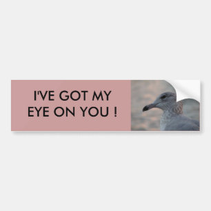 Autocollant De Voiture Adhésif pour pare-chocs de mouette