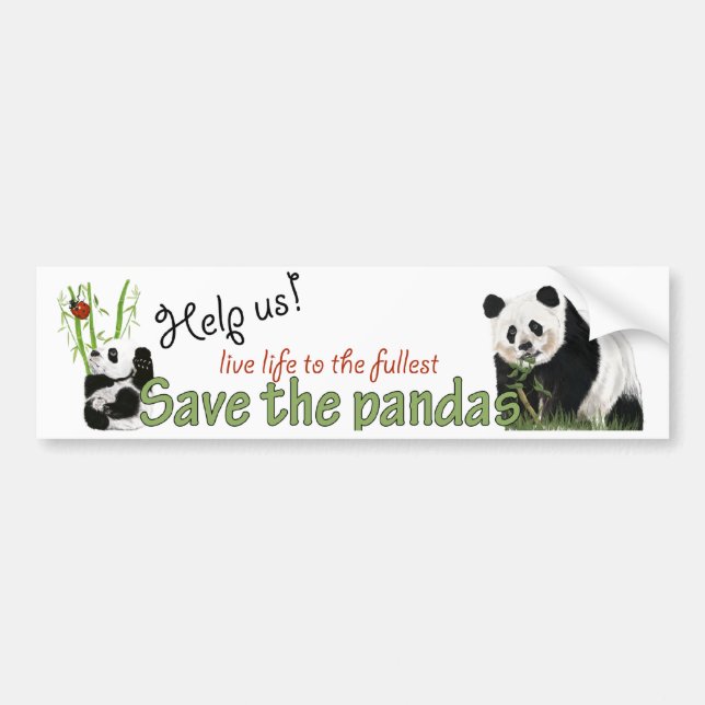 Autocollant De Voiture adhésif pour pare-chocs de pandas (Devant)