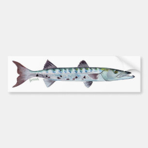 Autocollant De Voiture Adhésif pour pare-chocs de poissons de barracuda