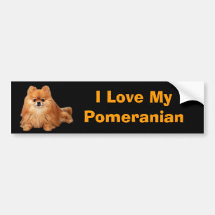 Autocollant De Voiture Adhésif pour pare-chocs de Pomeranian