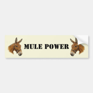 Autocollant De Voiture Adhésif pour pare-chocs de puissance de mule