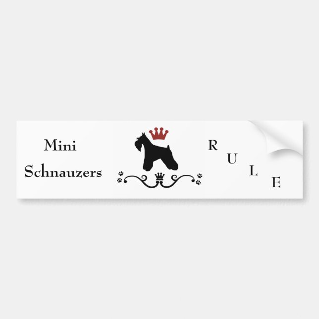 Autocollant De Voiture Adhésif pour pare-chocs de règle de Schnauzers (Devant)