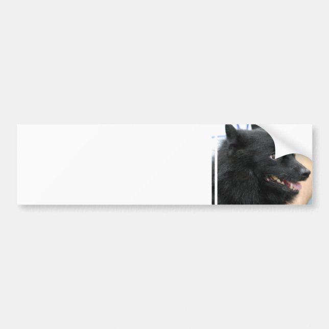 Autocollant De Voiture Adhésif pour pare-chocs de Schipperke (Devant)