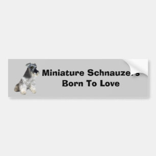 Autocollant De Voiture Adhésif pour pare-chocs de Schnauzer miniature