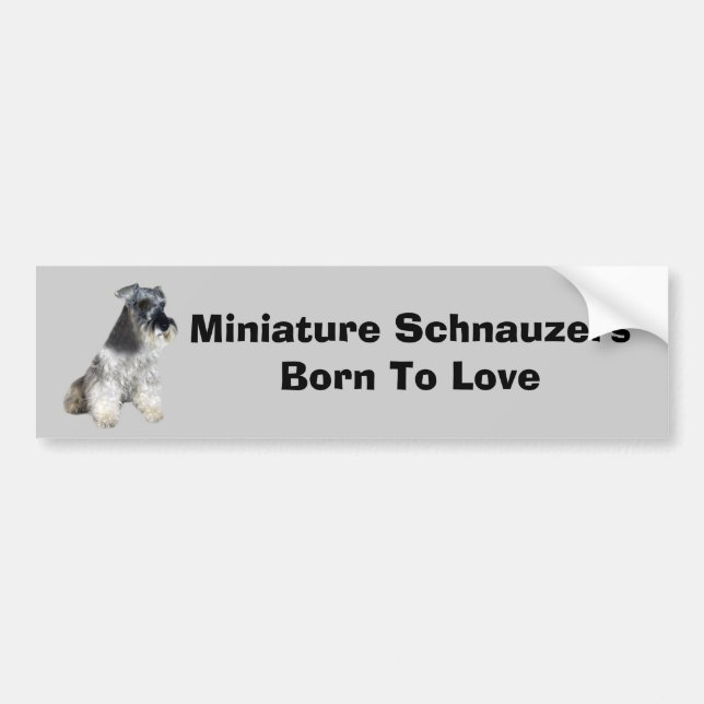 Autocollant De Voiture Adhésif pour pare-chocs de Schnauzer miniature (Devant)