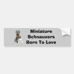 Autocollant De Voiture Adhésif pour pare-chocs de Schnauzer miniature