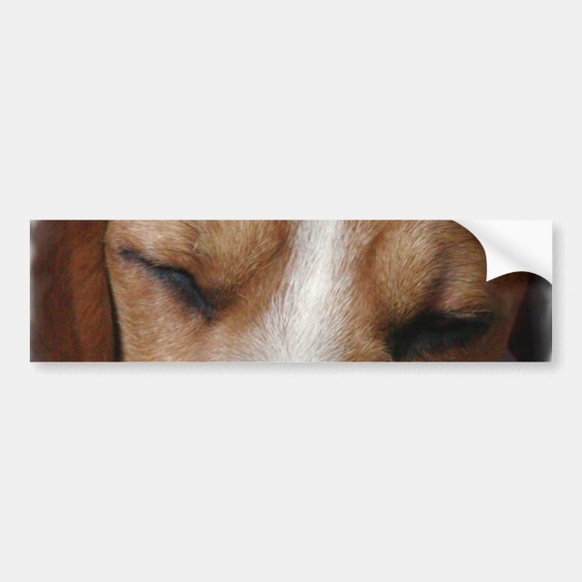 Autocollant De Voiture Adhésif pour pare-chocs de sommeil de beagle (Devant)