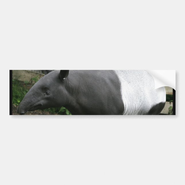 Autocollant De Voiture Adhésif pour pare-chocs de tapir malais (Devant)