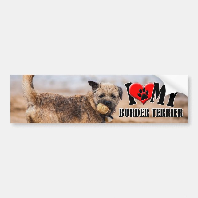 Autocollant De Voiture Adhésif pour pare-chocs de Terrier de frontière (Devant)