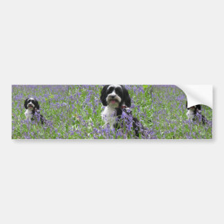 Autocollant De Voiture Adhésif pour pare-chocs de Terrier tibétain