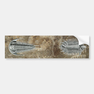 Autocollant De Voiture Adhésif pour pare-chocs de Trilobites