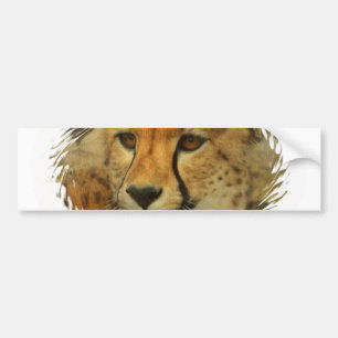 Autocollant De Voiture Adhésif pour pare-chocs de visage de guépard