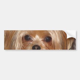 Autocollant De Voiture Adhésif pour pare-chocs de Yorkie