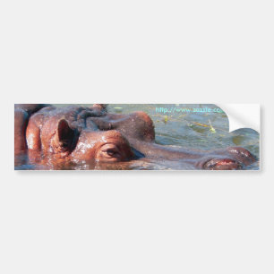 Autocollant De Voiture Adhésif pour pare-chocs d'hippopotame