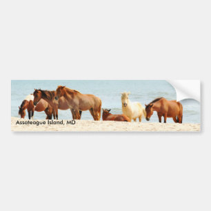 Autocollant De Voiture Adhésif pour pare-chocs d'île d'Assateague