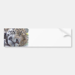 Autocollant De Voiture Adhésif pour pare-chocs d'image de léopard