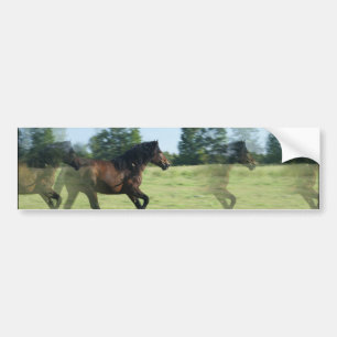 Autocollant De Voiture Adhésif pour pare-chocs galopant de mustangs