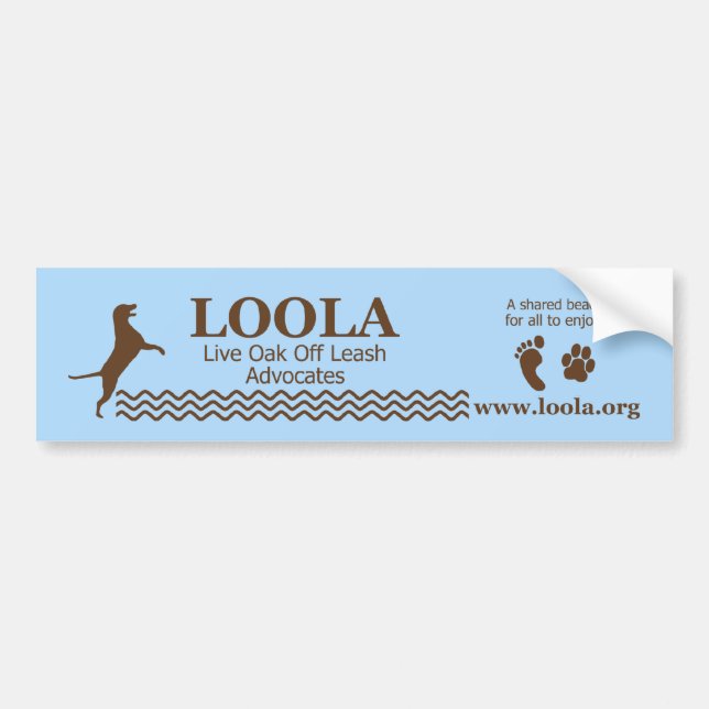 Autocollant De Voiture Adhésif pour pare-chocs : LOOLAorg (Devant)