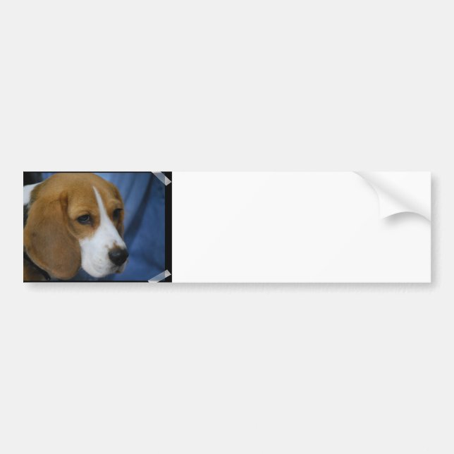 Autocollant De Voiture Adhésif pour pare-chocs mignon de beagle (Devant)