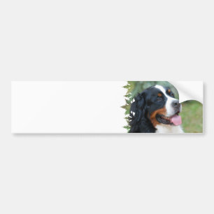 Autocollant De Voiture Adhésif pour pare-chocs mignon de Bernese