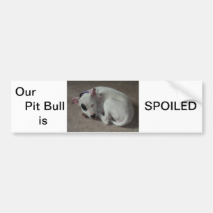 Autocollant De Voiture Adhésif pour pare-chocs mignon de pitbull