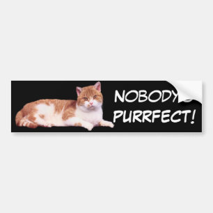 Autocollant De Voiture Adhésif pour pare-chocs orange et blanc de chat