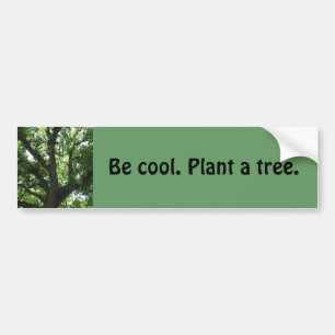 Autocollant De Voiture Adhésif pour pare-chocs "plantez arbre"