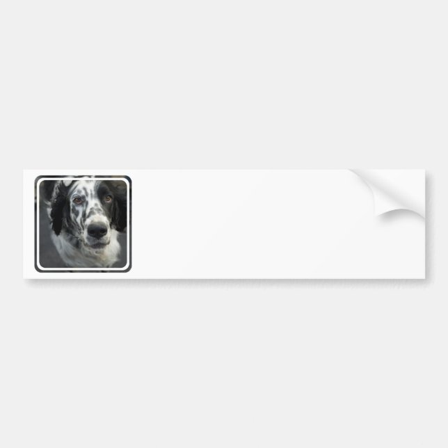 Autocollant De Voiture Adhésifs pour pare-chocs de chien de poseur (Devant)