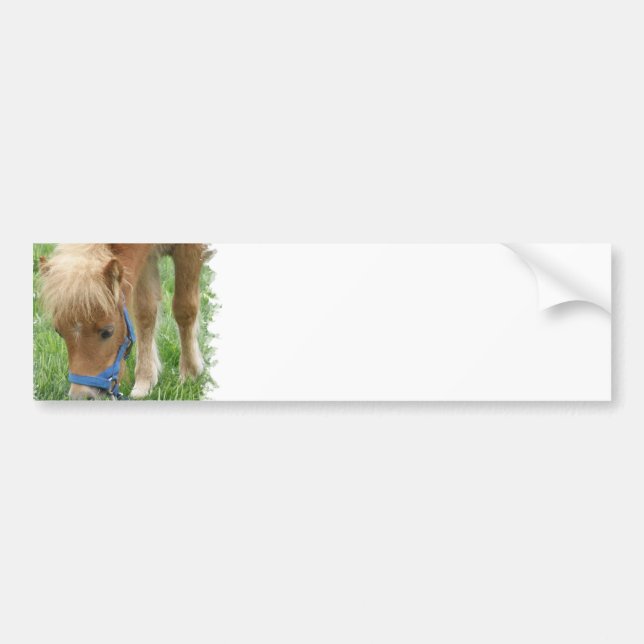 Autocollant De Voiture Adhésifs pour pare-chocs de poney de Shetland (Devant)