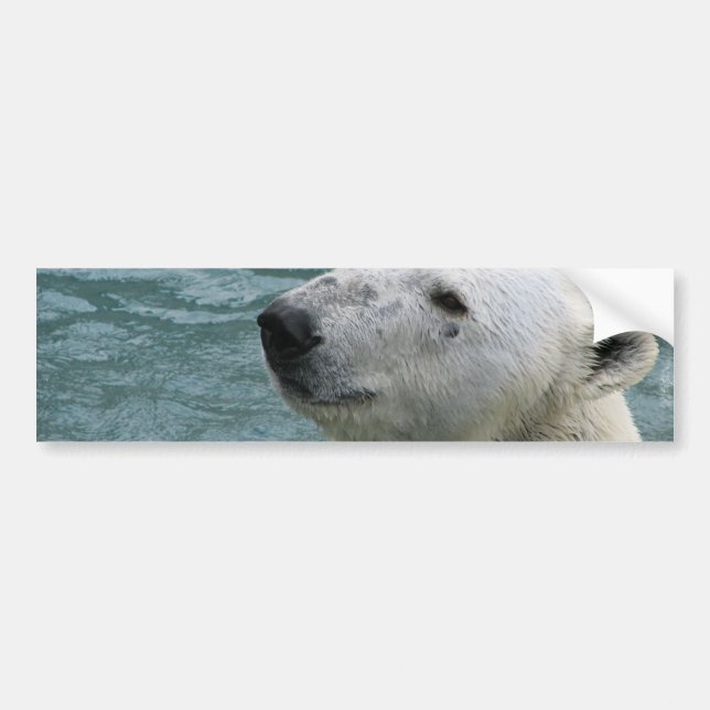 Autocollant De Voiture Adhésifs pour pare-chocs de profil d'ours blanc (Devant)