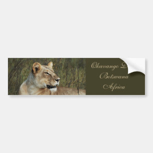 Autocollant De Voiture Adhésifs pour pare-chocs de safari de lionne