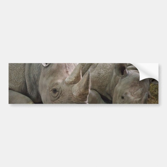 Autocollant De Voiture Adhésifs pour pare-chocs de sommeil de rhinocéros (Devant)