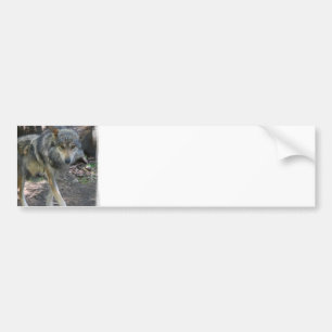 Autocollant De Voiture Adhésifs pour pare-chocs de vagabondage de loup