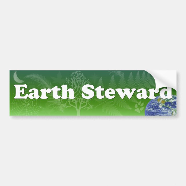 Autocollant De Voiture Administrateur de la terre (Devant)