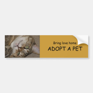 Autocollant De Voiture ADOPTEZ un adhésif pour pare-chocs 1 d'ANIMAL