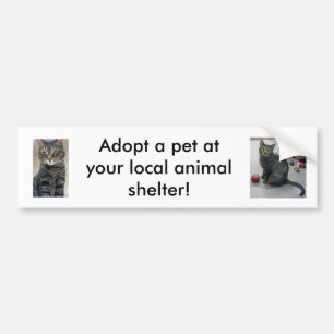 Autocollant De Voiture Adoptez un adhésif pour pare-chocs d'animal