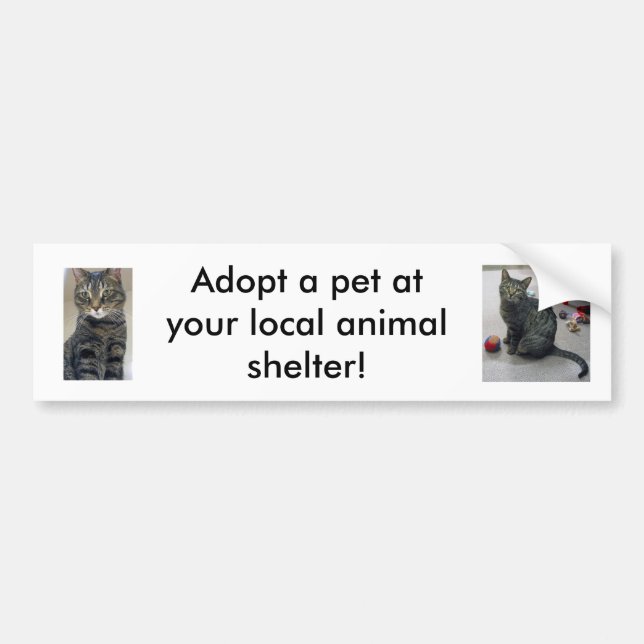 Autocollant De Voiture Adoptez un adhésif pour pare-chocs d'animal (Devant)
