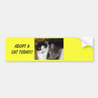 Autocollant De Voiture Adoptez un adhésif pour pare-chocs de chat