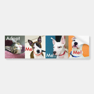 Autocollant De Voiture Adoptez un animal familier