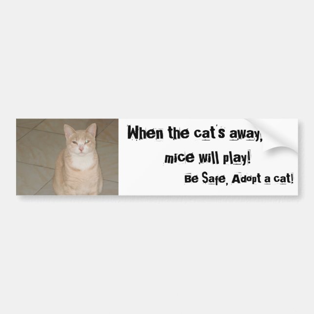 Autocollant De Voiture Adoptez un chat (Devant)