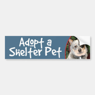 Autocollant De Voiture Adoptez un chien australien de bétail d'animal