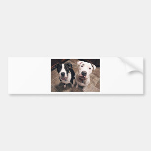 Autocollant De Voiture adorables chiots pitbull chiens