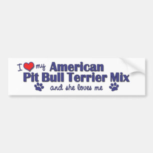 Autocollant De Voiture Aimez mon mélange américain de Terrier de pitbull