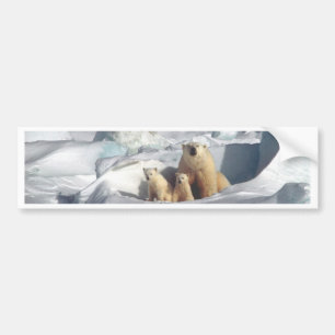 Autocollant De Voiture Ajouter SLOGAN pour sauver les ours polaires arcti