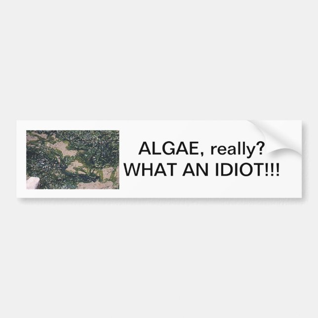 Autocollant De Voiture Algues notre sauveur (Devant)